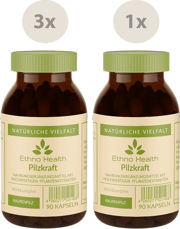 Pilzkraft Kur – Produktverpackung