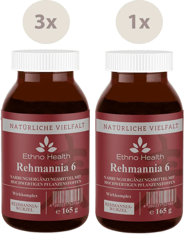 Rehmannia Kur – Produktverpackung
