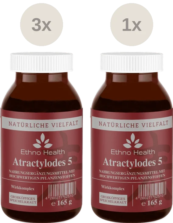 Atractylodes Kur – Produktverpackung