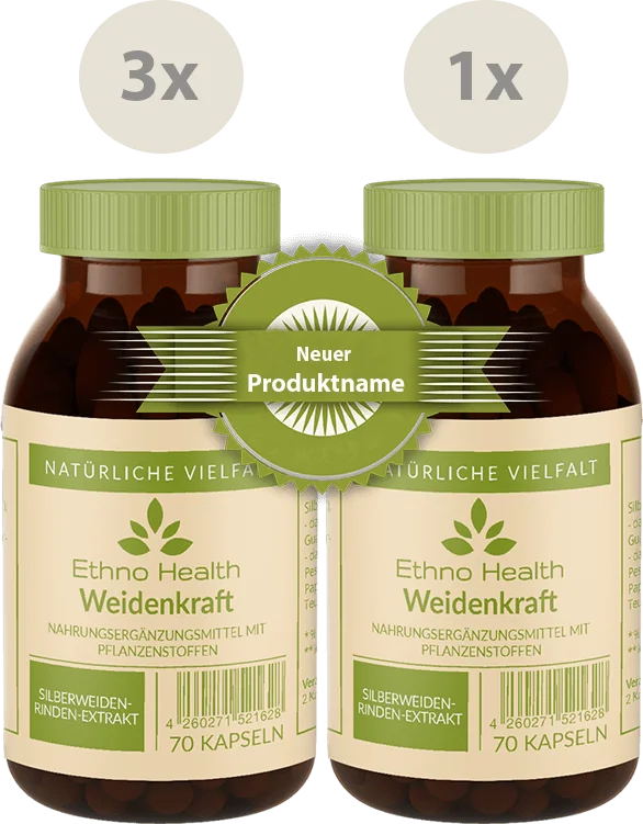 Weidenkraft Kur – Produktverpackung